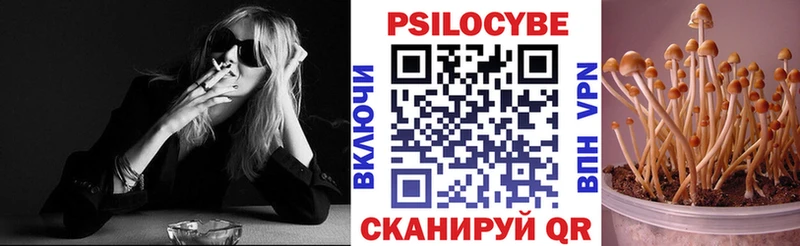 как найти закладки  маркетплейс состав  Псилоцибиновые грибы GOLDEN TEACHER  Белоярский 